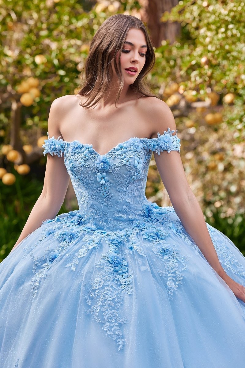 cinderella fashions pageant dresses Cinderella Couture 8115J - Embroidered Sweetheart Neck Ballgown 14/2X / Blue main image 0