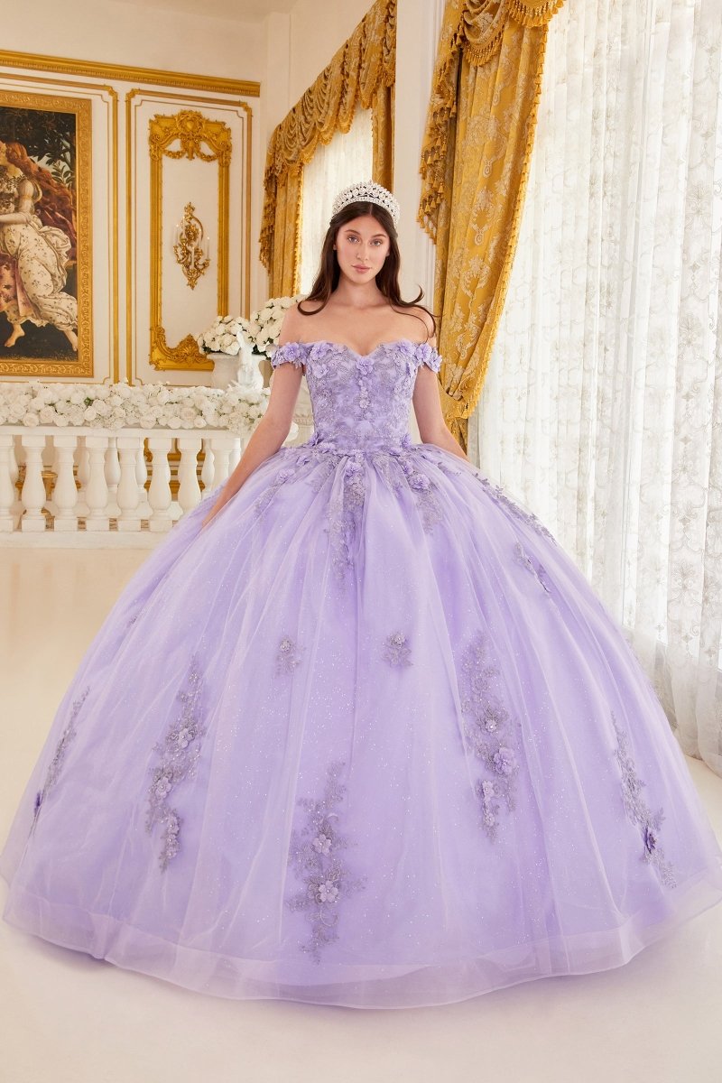 winter wonderland sweet 15 dresses Quince Theme Inspiration  Quinceaneras and Bridals Boutique