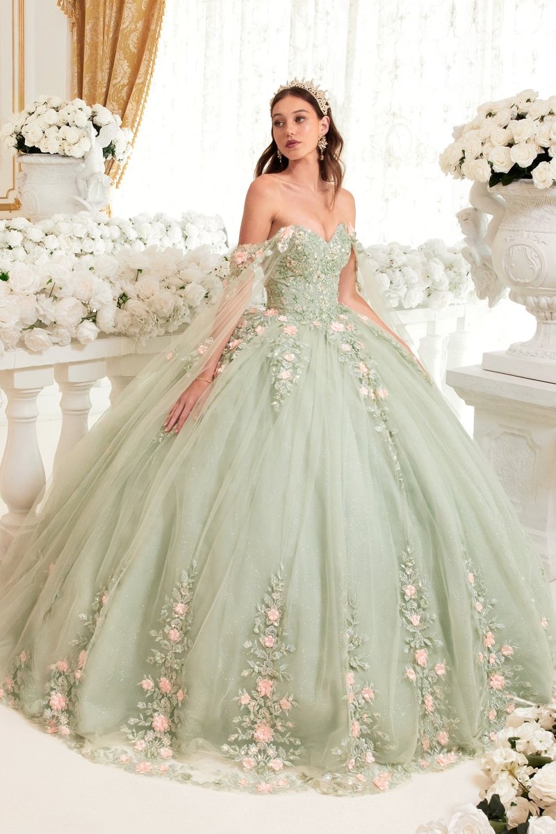 15716 | BALL GOWN – Ladivine by Cinderella Divine