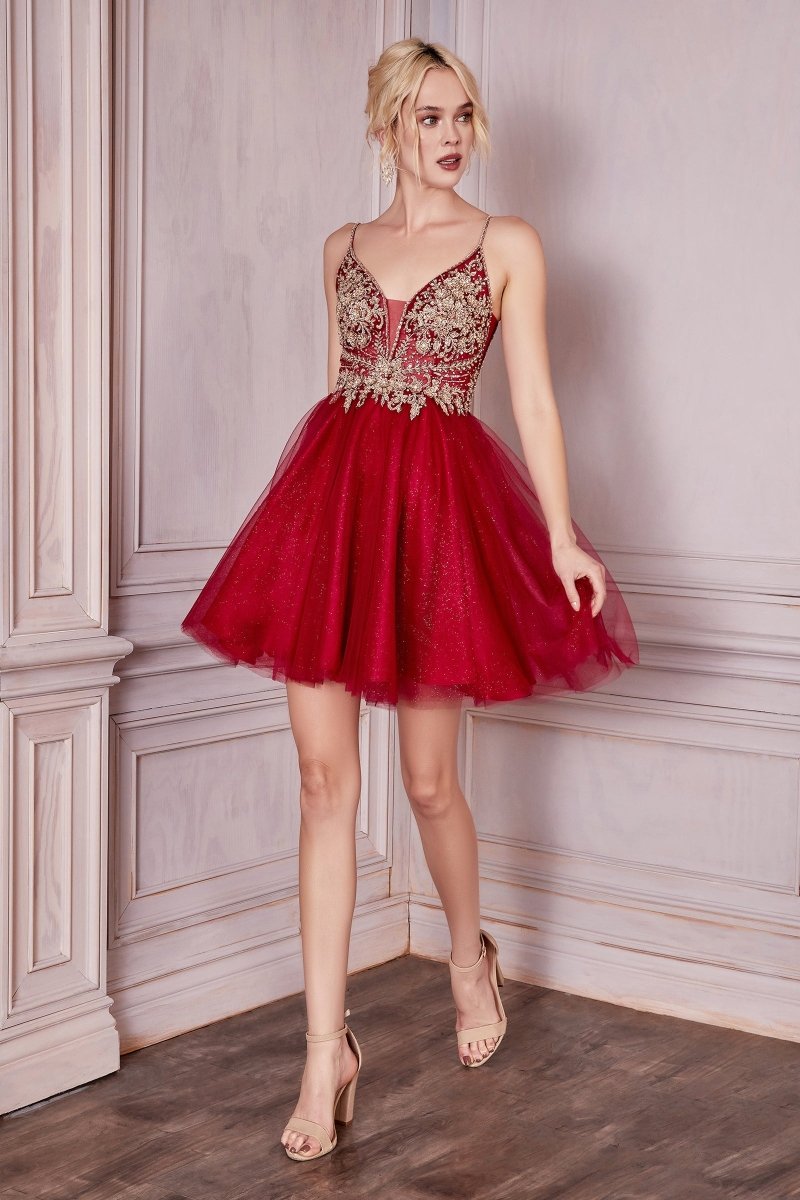 CD0190 | SHORT / TEA LENGTH DRESS – Ladivine by Cinderella Divine