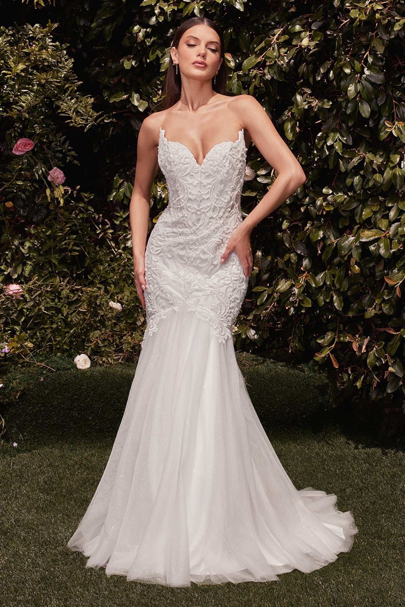 CDS482W - Ladivine by Cinderella Divine