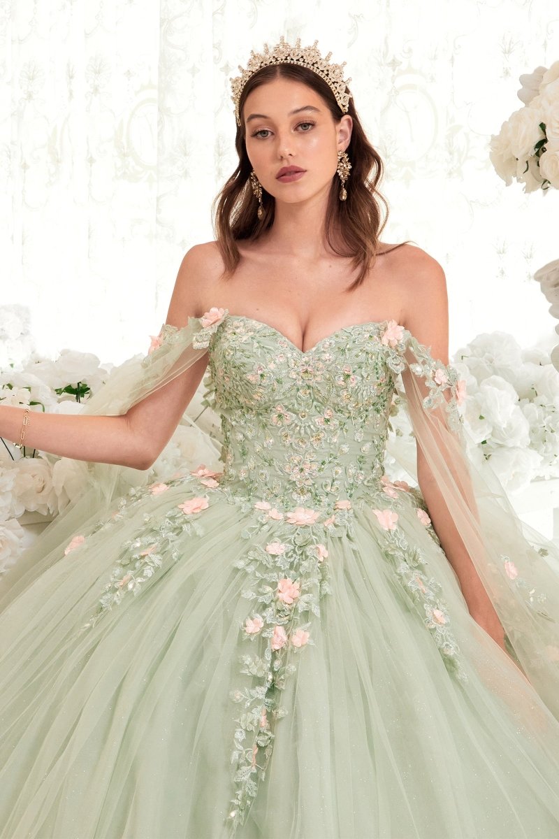 Quinceanera Ball Gown Ladivine Cinderella Divine Inc