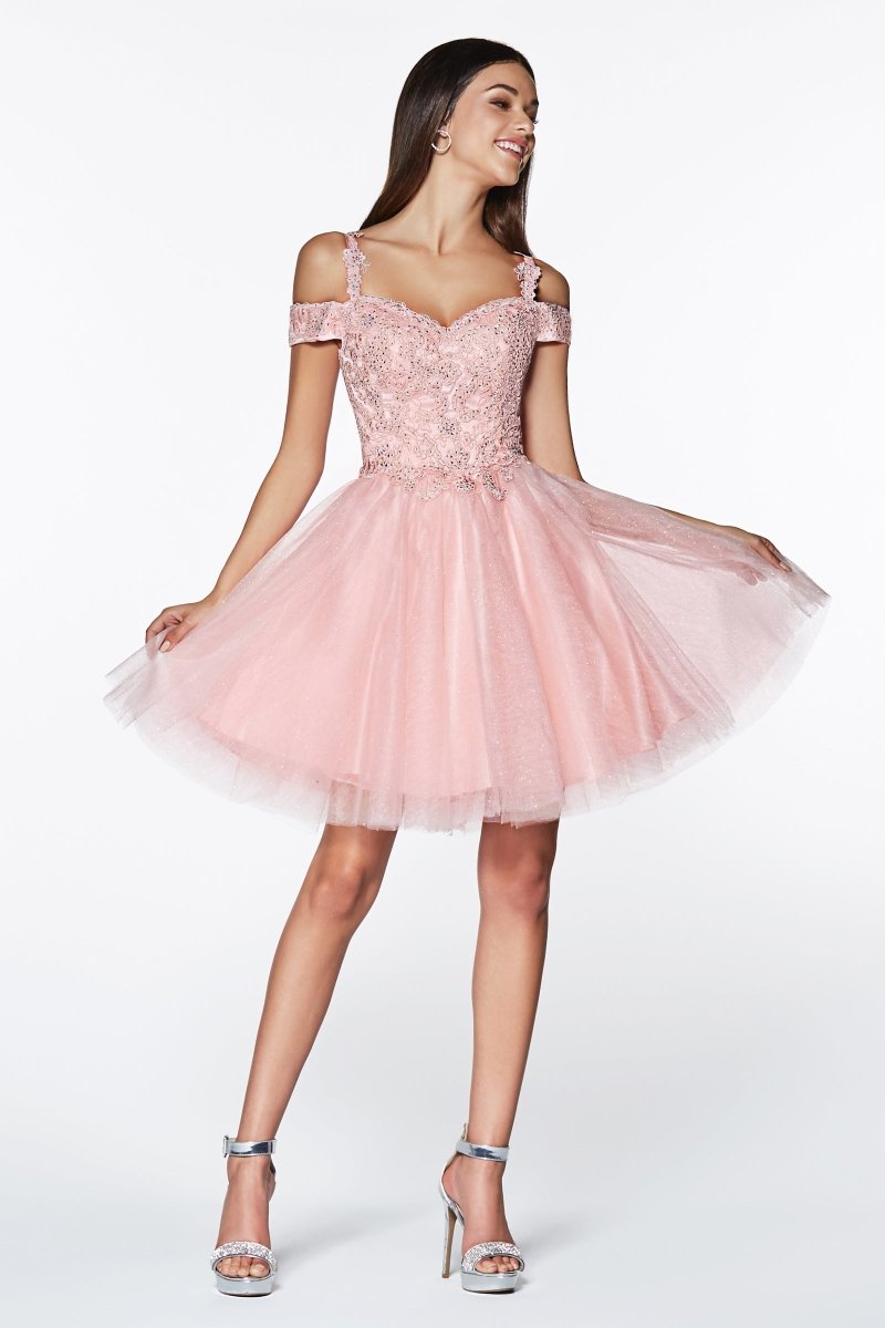 Ladivine CD0132 - A-Line Mini Dress