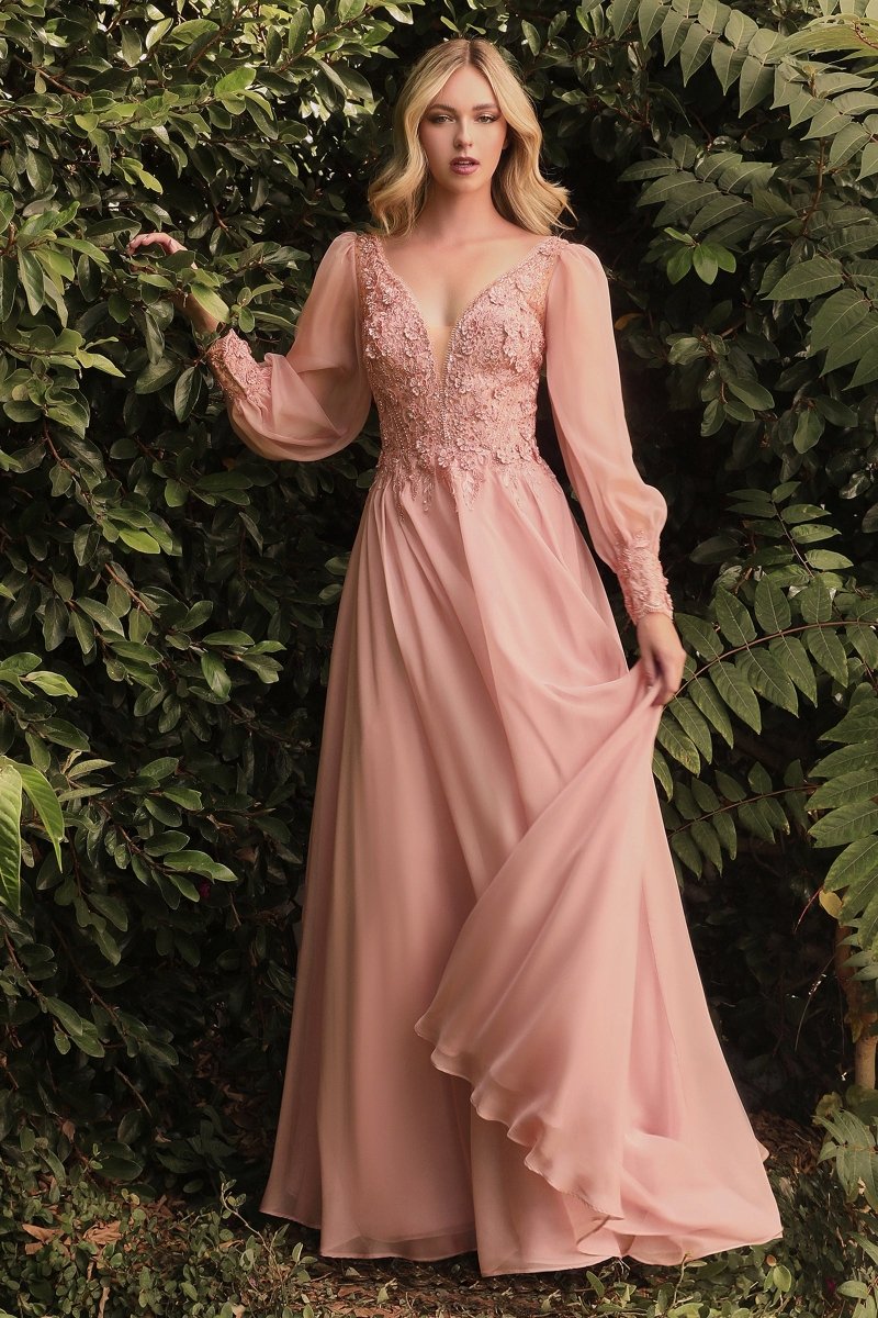 Long Sleeve Chiffon Evening Gown | Ladivine By Cinderella Divine