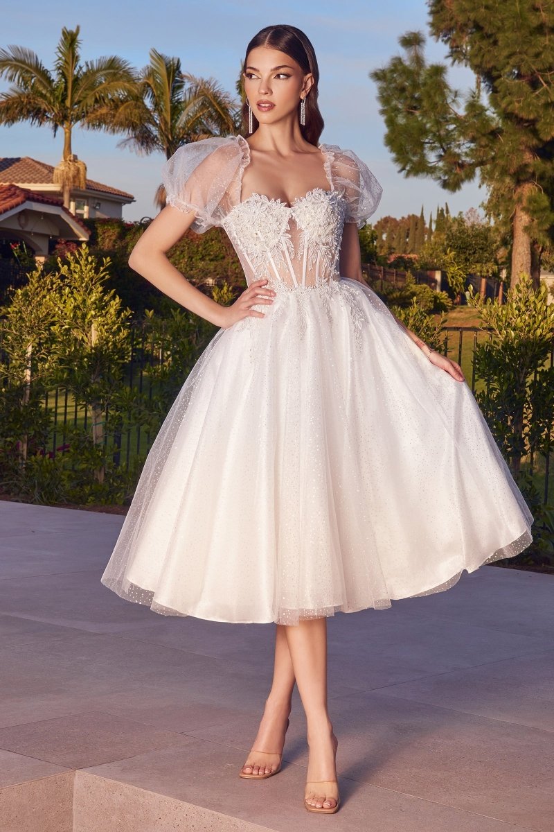 Ladivine CD0187W - A-Line Tea Length Dress