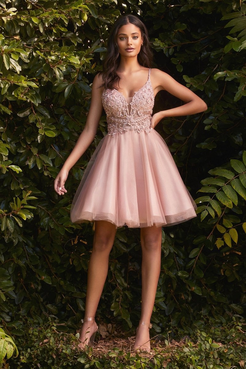 Ladivine CD0190 - A-Line Mini Dress