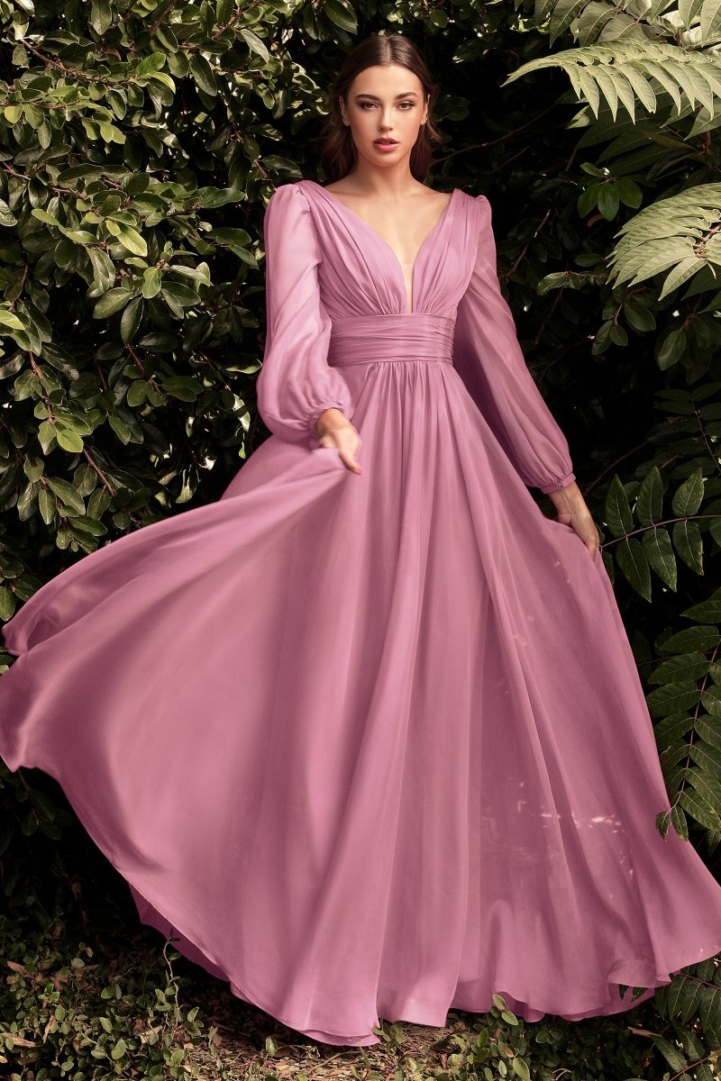 long chiffon dresses with sleeves Sienna Long Sleeve Chiffon Gown XL(14/16)