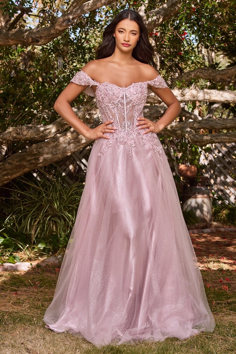 CD0198 | A-LINE DRESS – Ladivine by Cinderella Divine | Shop